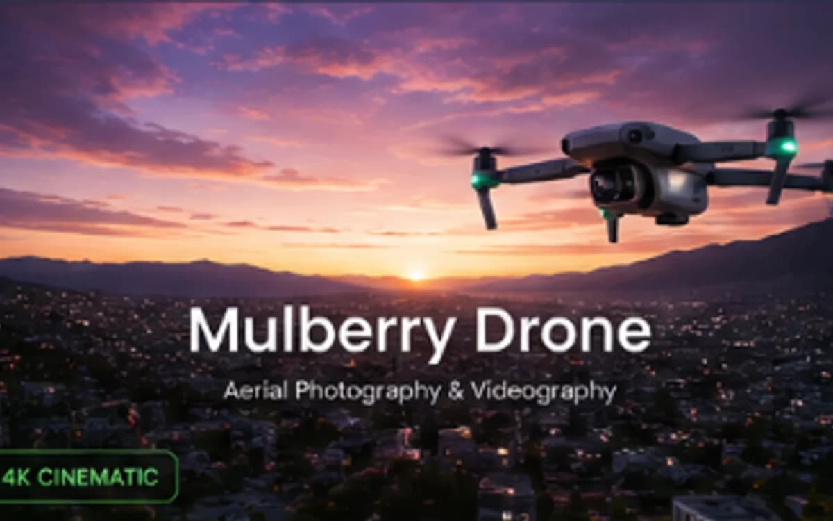 Mulberry Drone