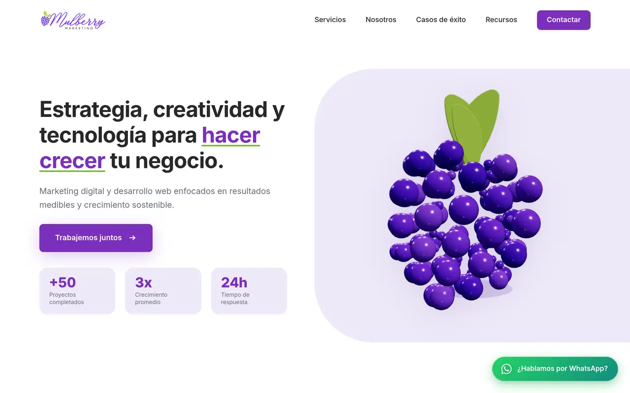 Mulberry Marketing